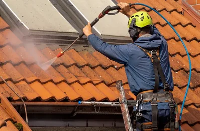 Démoussage et hydrofuge de toiture à Ussac